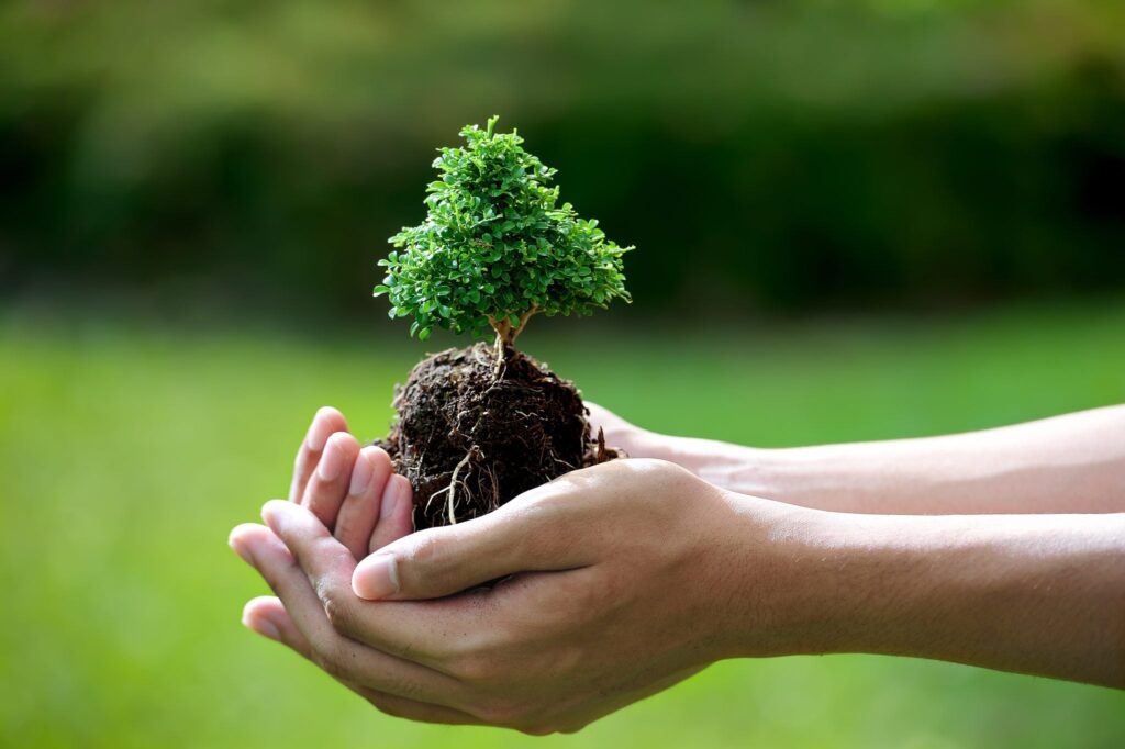 Tierra, Árbol y Medio Ambiente