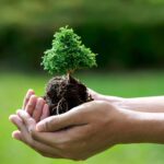 Tierra, Árbol y Medio Ambiente