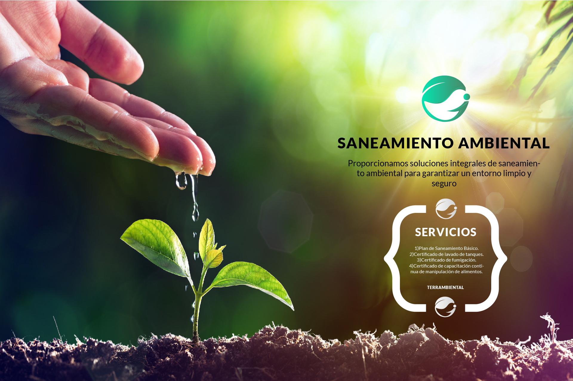 SaneamientoServicios